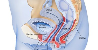 Dejar de fumar evita que el cáncer de vejiga vuelva a aparecer